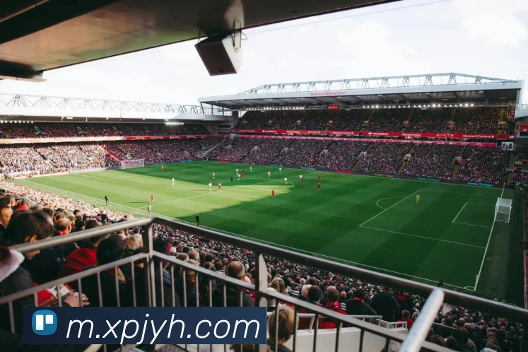 多媒体互动体验